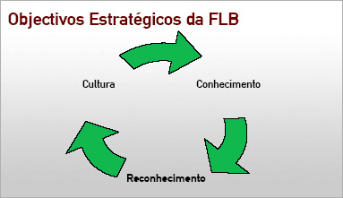 Programa de Actividades
